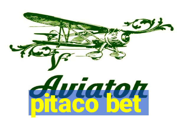 pitaco bet